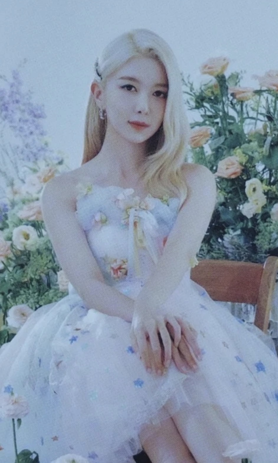 Dami