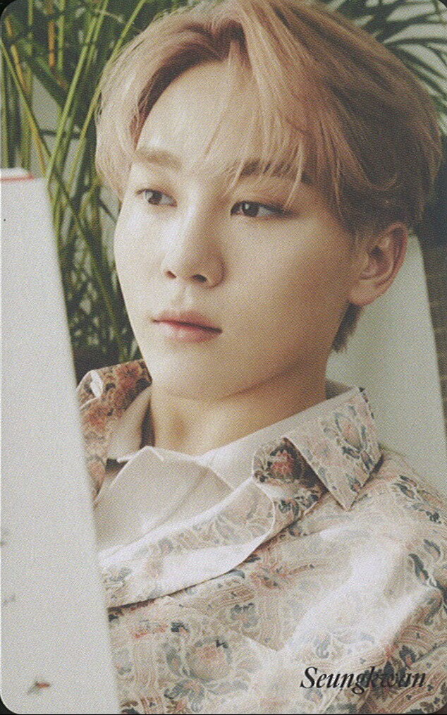Seungkwan SEVENTEEN photocard from Preorder Benefit