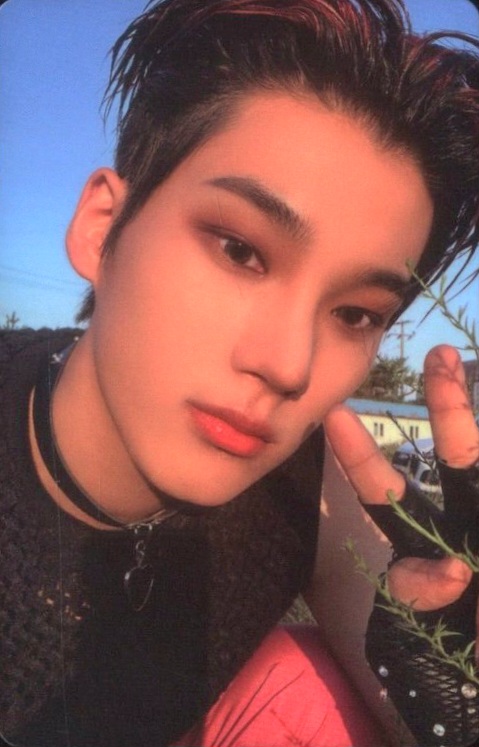 Jeonghyeon EVNNE photocard from Photocard