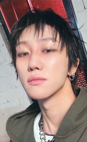HMV 1.0 Regular ver. Benefit