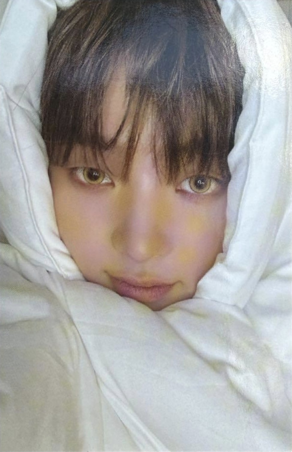 Official MD Pop Up Zip Up Hoodie Photocard Set