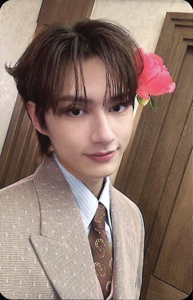 Jun SEVENTEEN photocard from Photocard