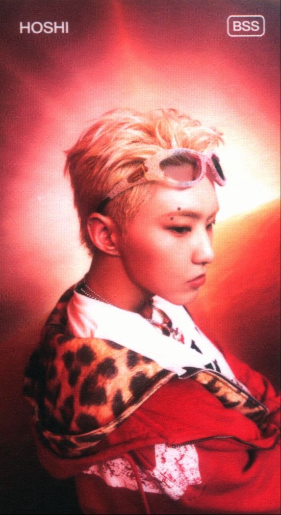 Hoshi BSS photocard from ID Card