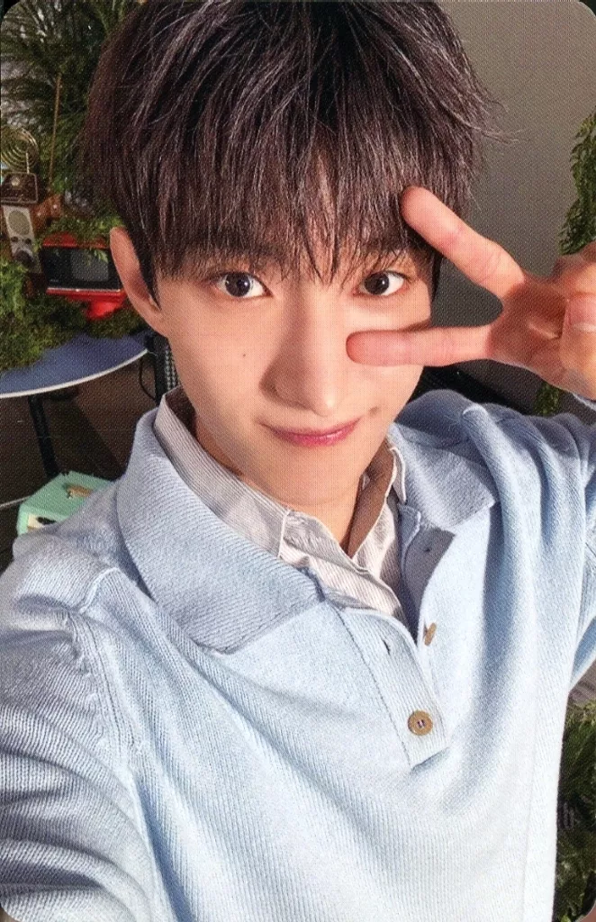 DK SEVENTEEN photocard from Selfie Photocard B