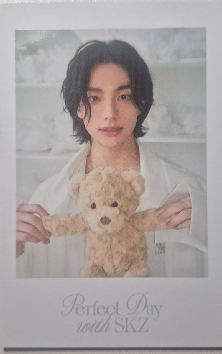 2024 Season's Greetings - Perfect Day with SKZ Polaroid Photocard Set