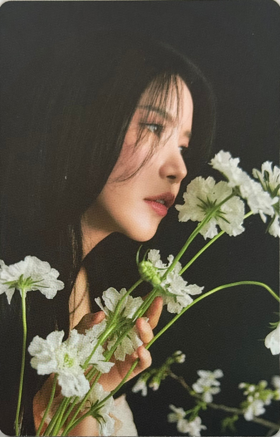 Solar photocard