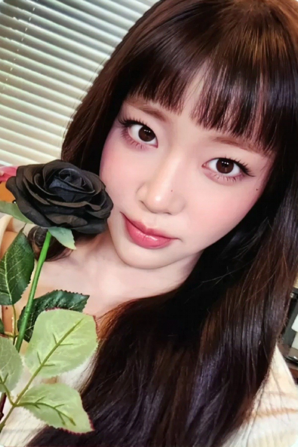 Makestar 1.0 Pre-Order