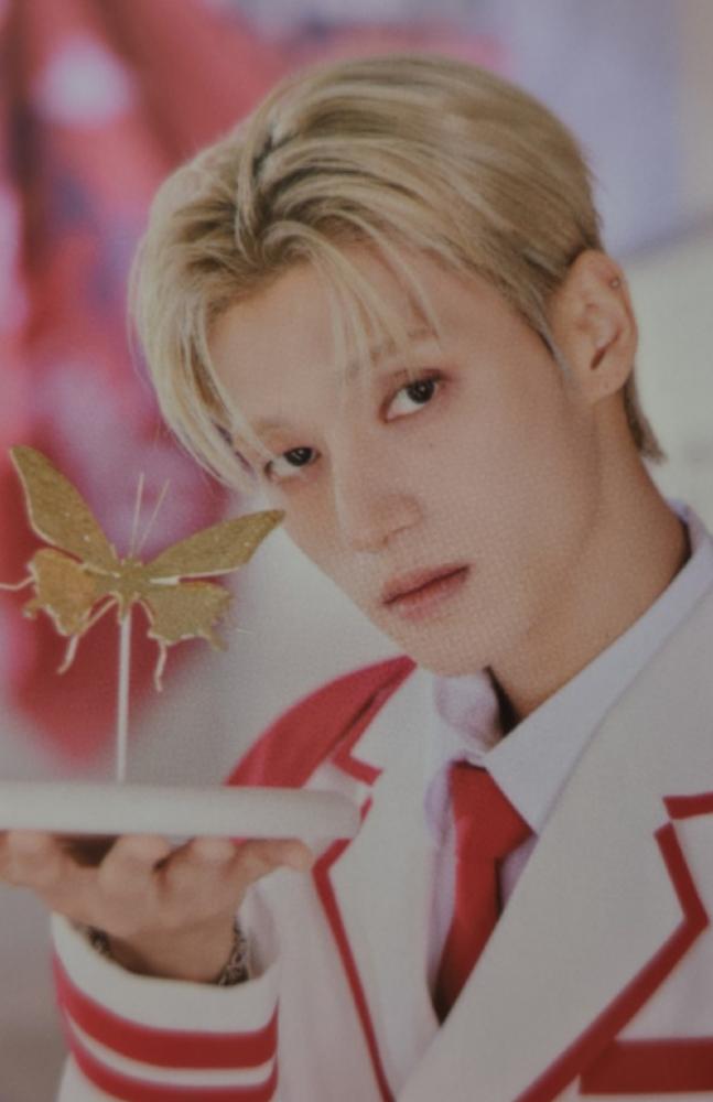 ANITEEZ in THE CALLING Trading Cards