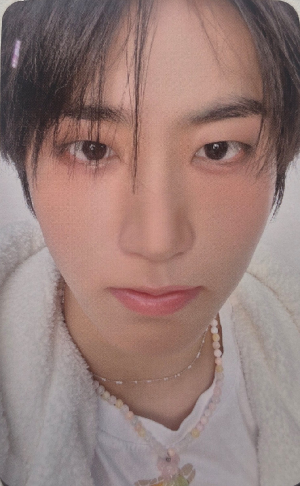 SKZ 5 O'Clock Fanmeeting Online Photocard Benefit