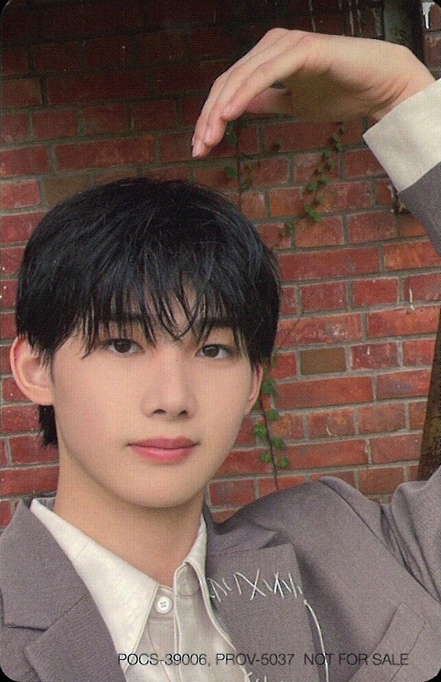 Jo &TEAM photocard from Photocard