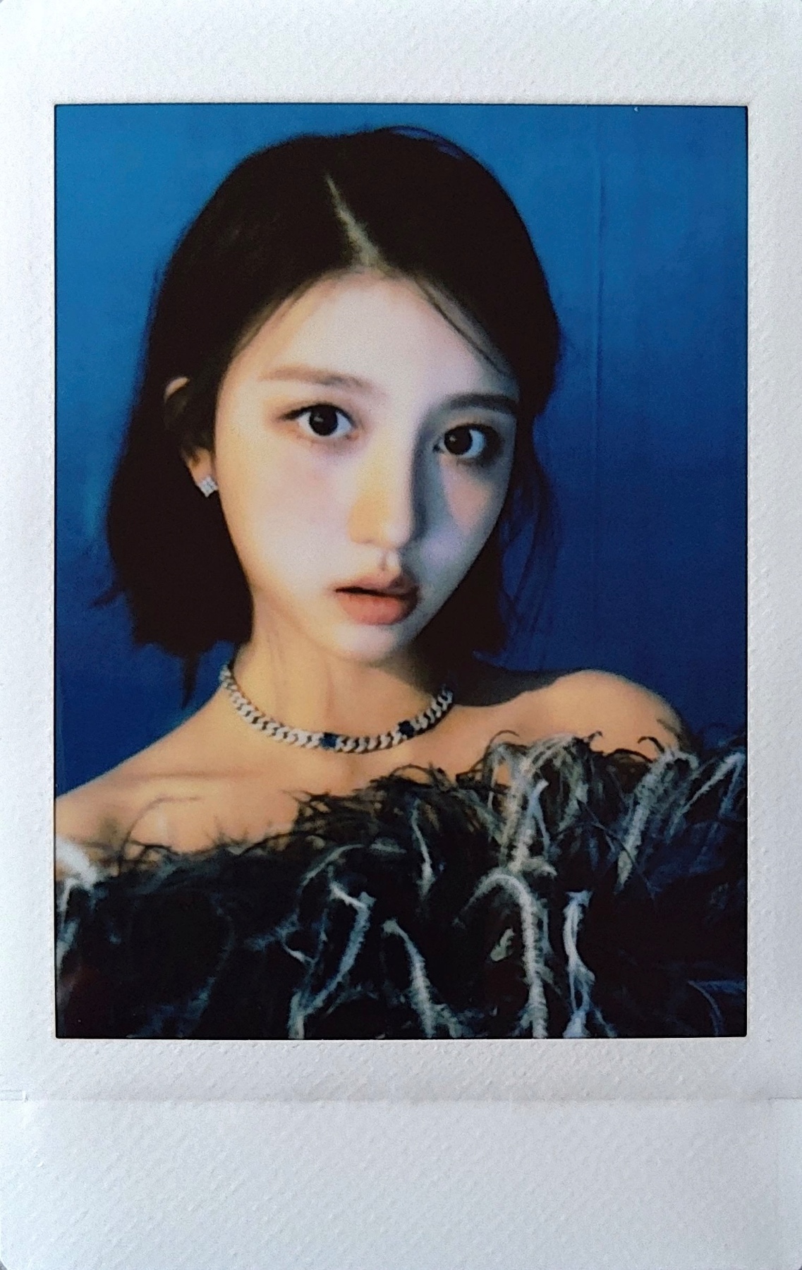 Tower Records 1.0 Pre-Order - Polaroid