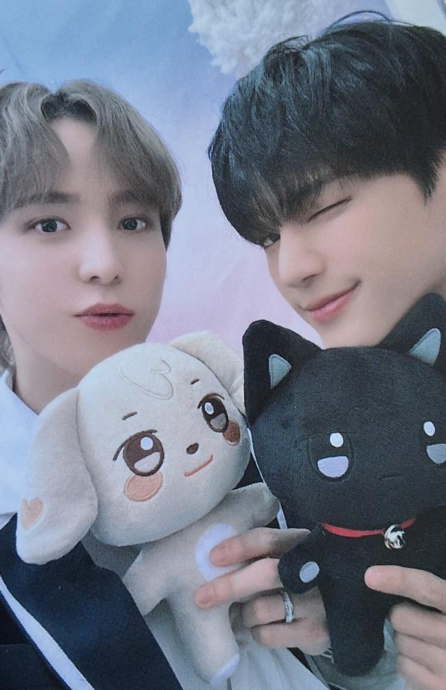 ANITEEZ in ILLUSION Random Trading Card