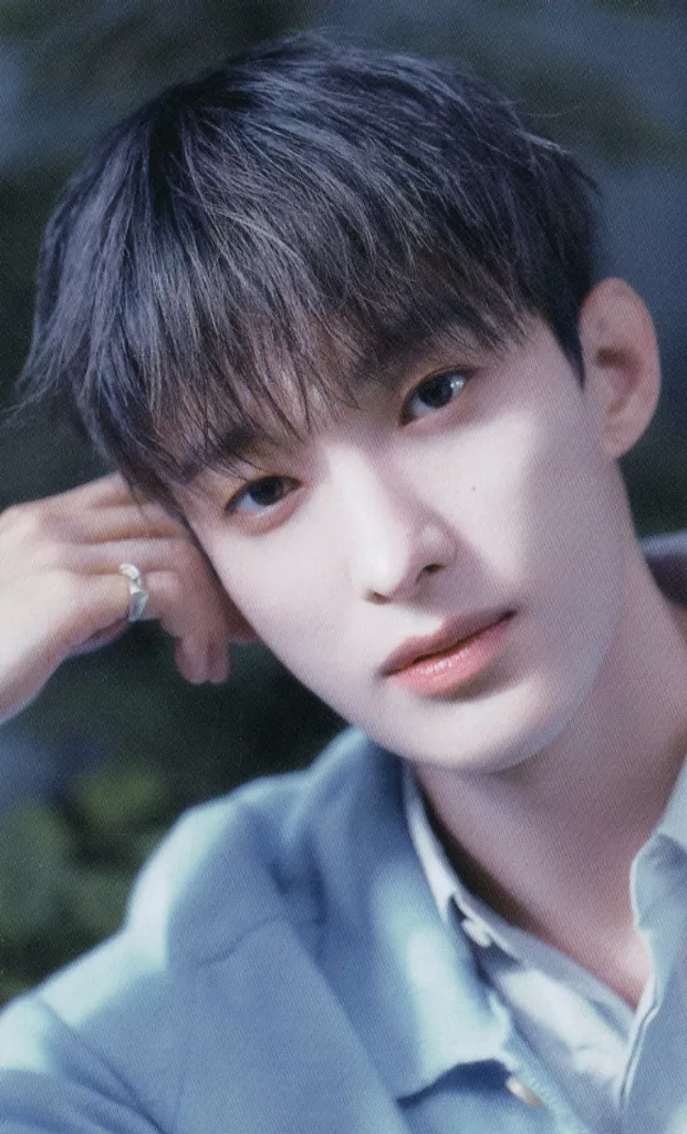 DK SEVENTEEN photocard from Preorder