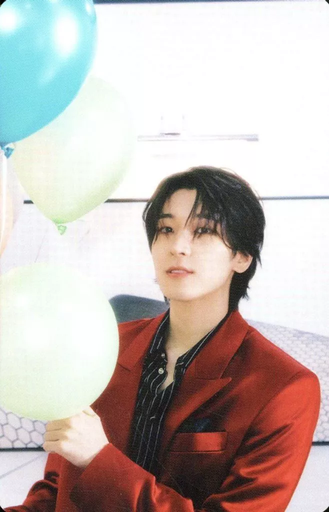 Wonwoo SEVENTEEN photocard - SPILL THE FEELS Booklet (Random Member set)