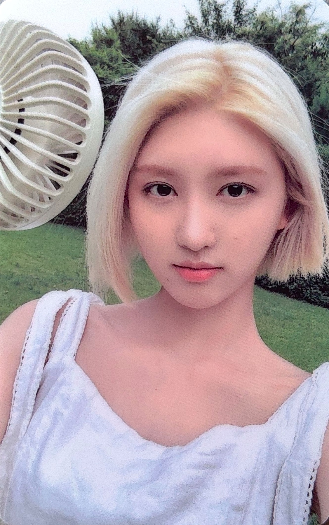 Gaeul