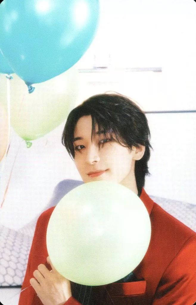 Wonwoo SEVENTEEN photocard - SPILL THE FEELS Booklet (Random Member set)
