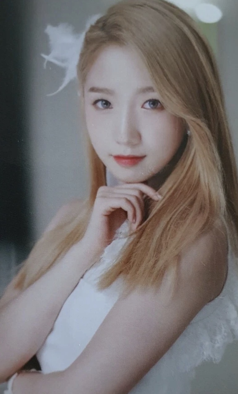 Meiqi Cosmic Girls photocard from Photocard