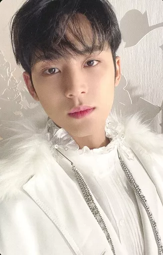 Mingyu SEVENTEEN photocard from Photocards
