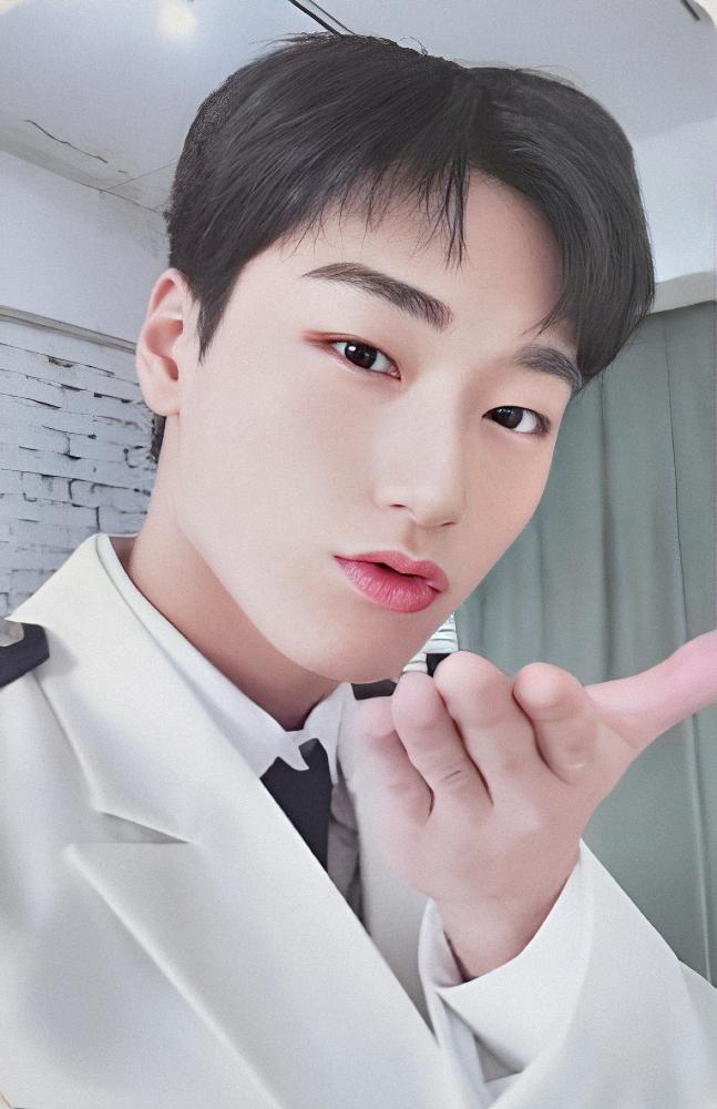 ANITEEZ in ILLUSION Random Trading Card