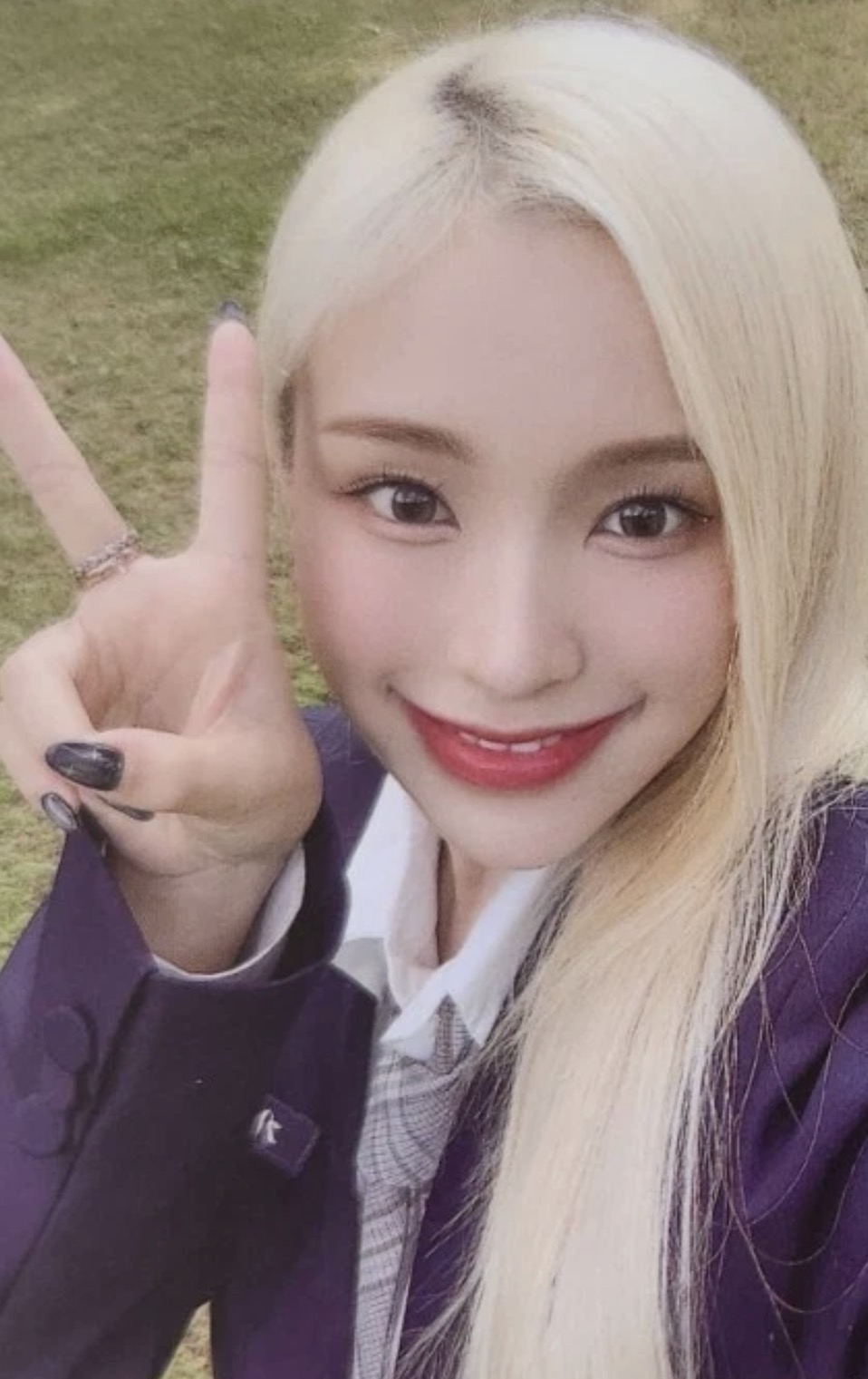 2024 Season's Greetings [Dear My Youth] Photocard Set