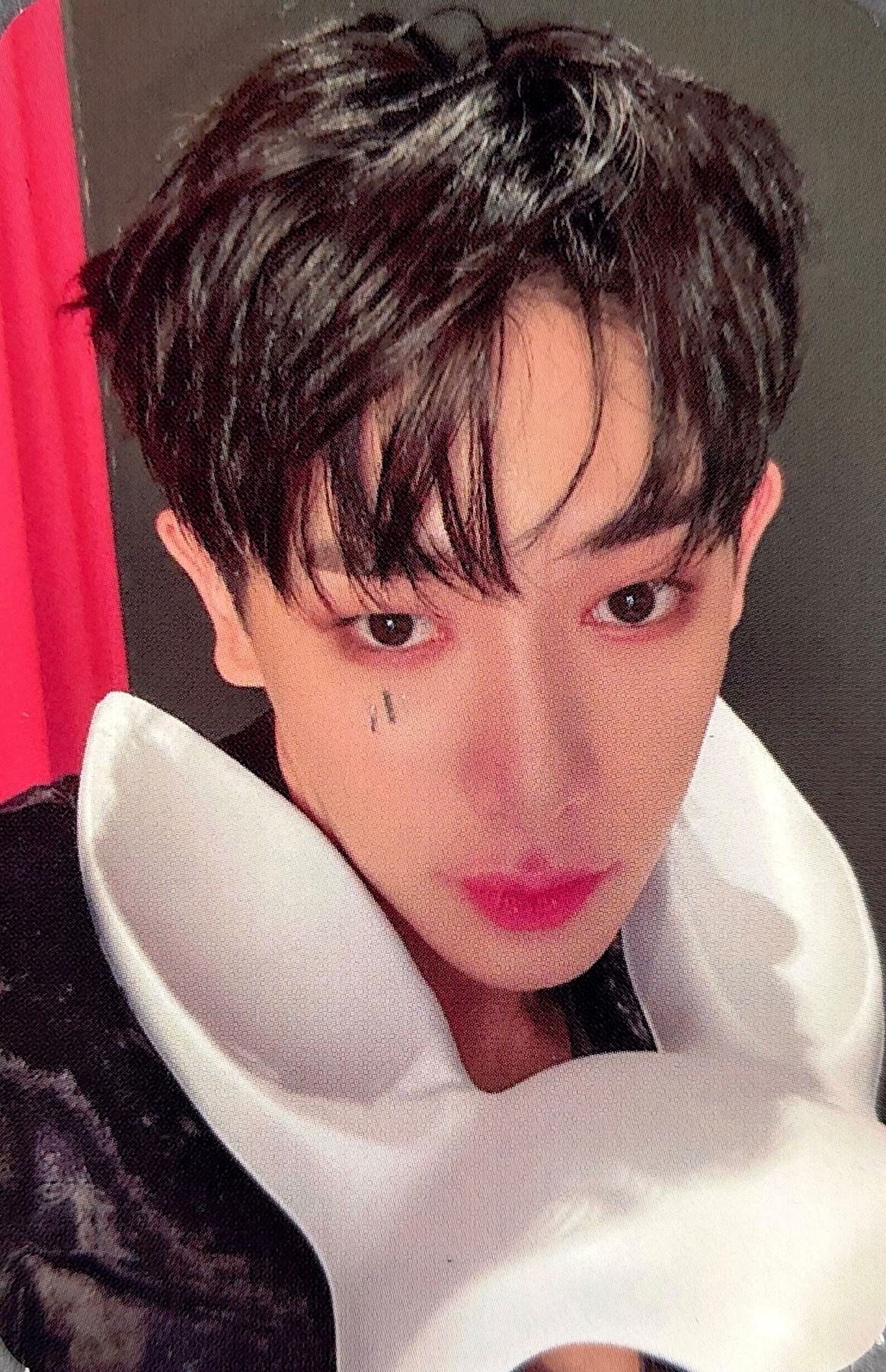 Message Photocard (Preorder only)