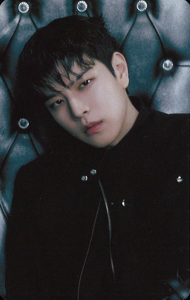 Seungmin Stray Kids photocard - GIANT Kyocera Dome