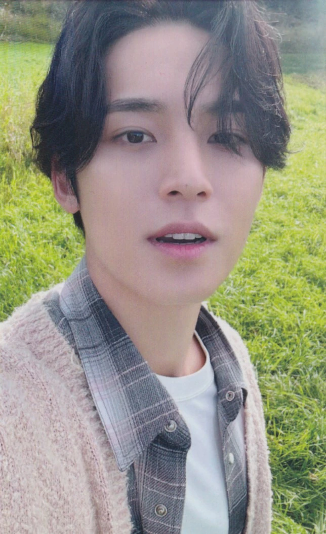 Mingyu SEVENTEEN photocard from Osaka Purchase Benefit