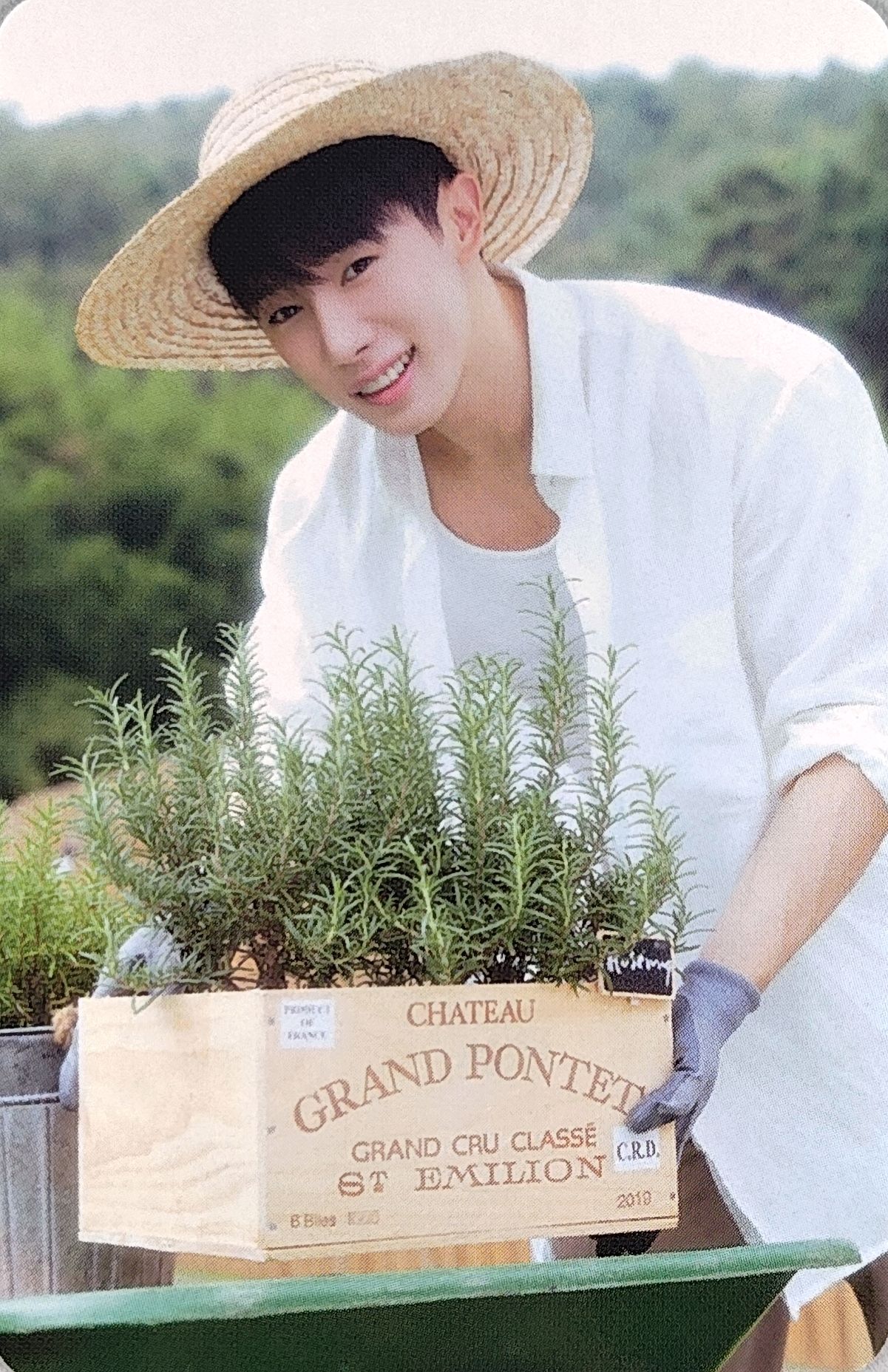 2026 Season’s Greetings ‘HOHO MARKET’ Calendar Photocard Set