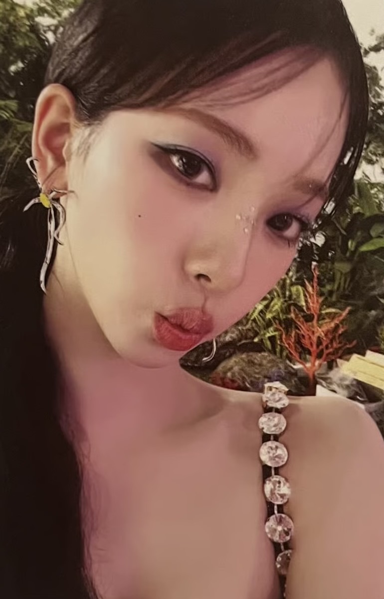 Official MD Trading Card Set A