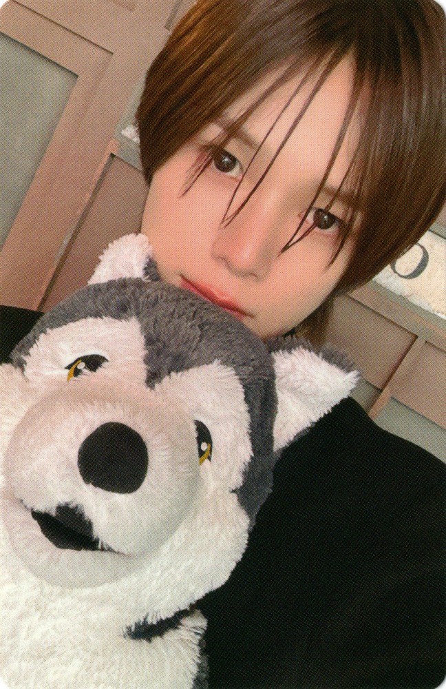 Photocard D