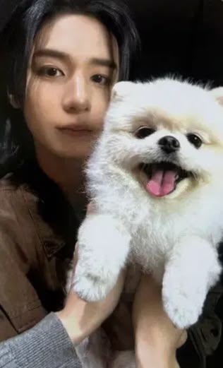 Leehan