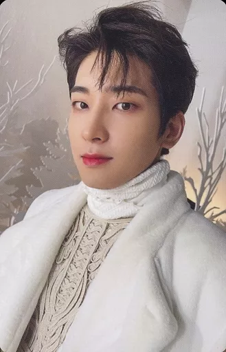 Wonwoo SEVENTEEN photocard from Photocards