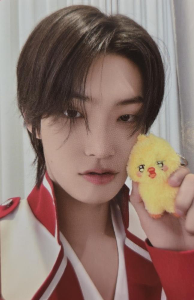 ANITEEZ in THE CALLING Trading Cards