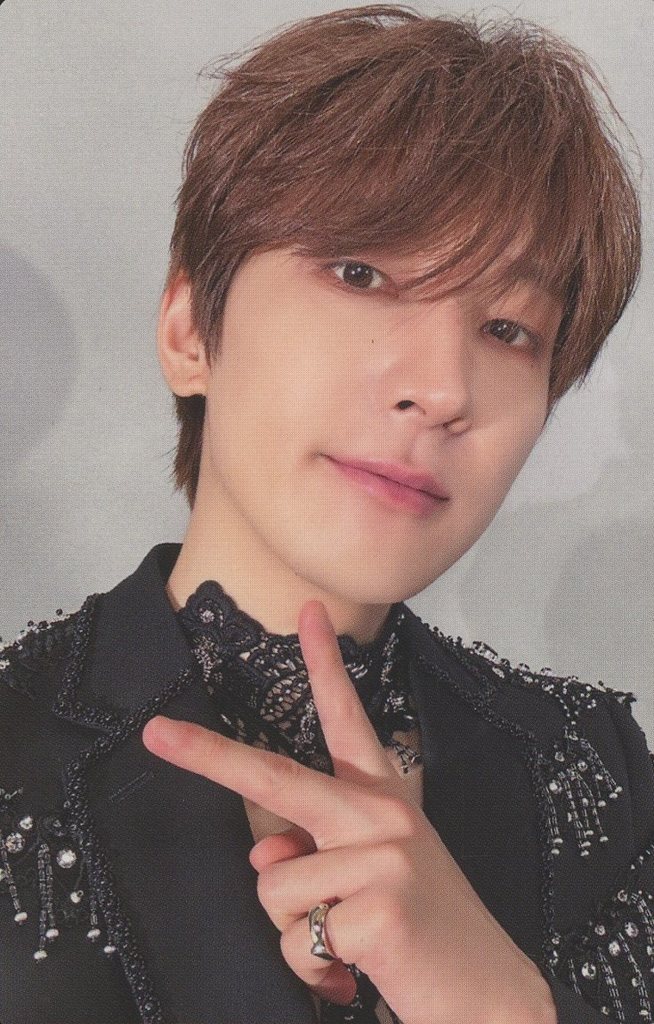 Wonwoo SEVENTEEN photocard from Selfie Photocard