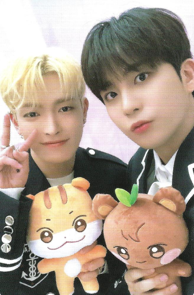 ANITEEZ in ILLUSION Random Trading Card