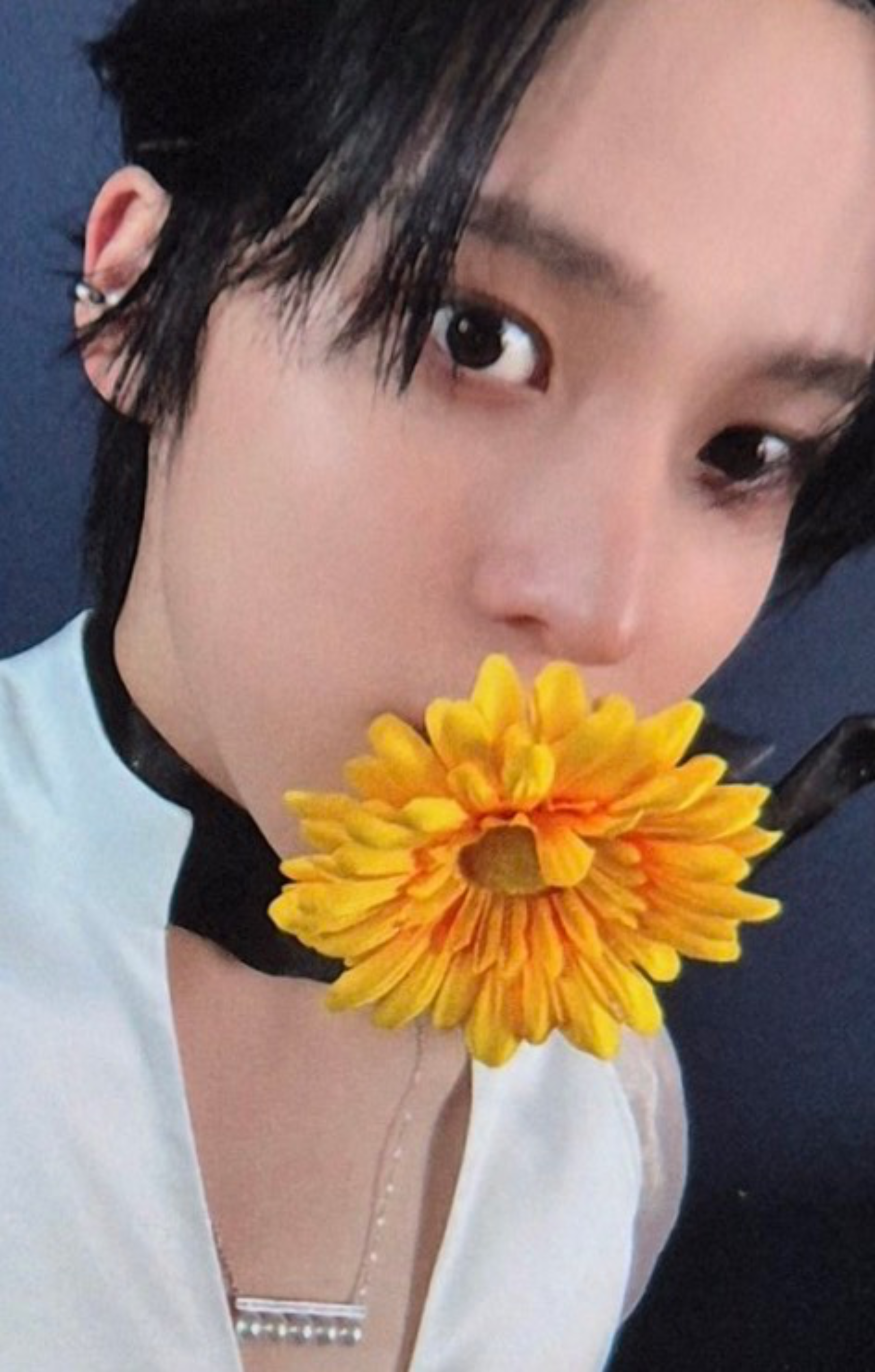 Apple Music 1.0 Photobook Ver. - Preorder