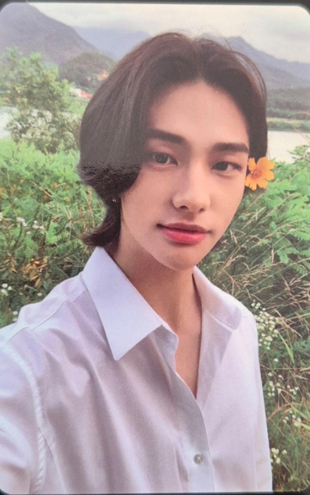 Limited ver. Set