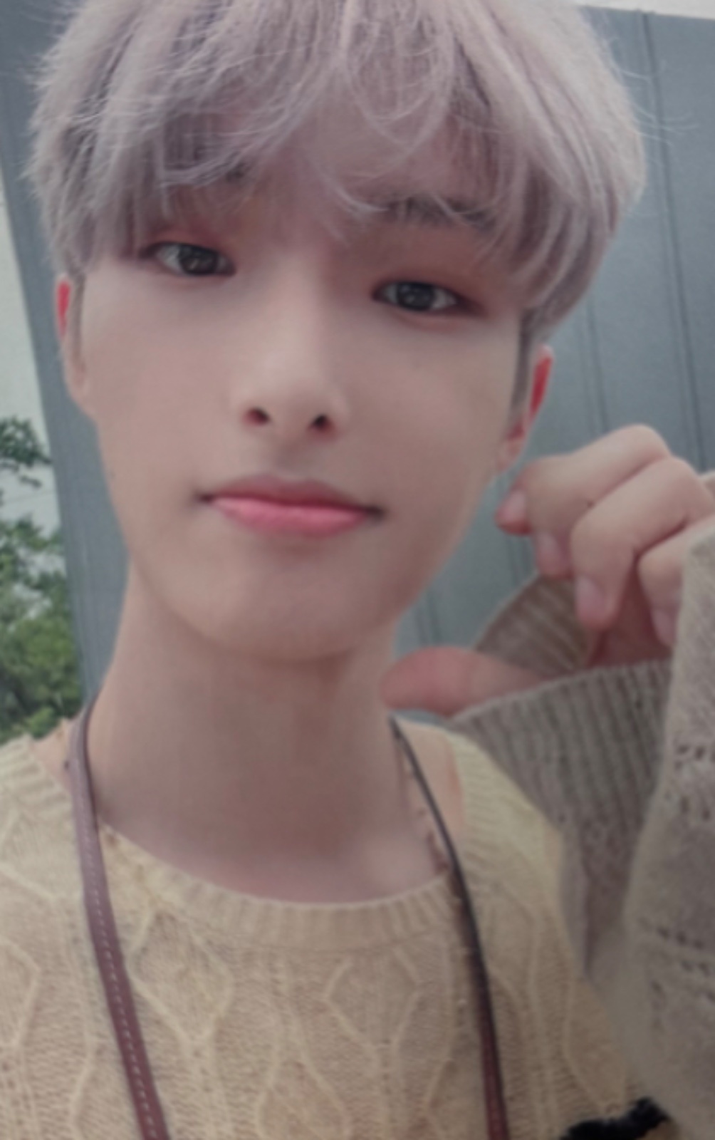 Whosfan Cafe 1.0 Preorder