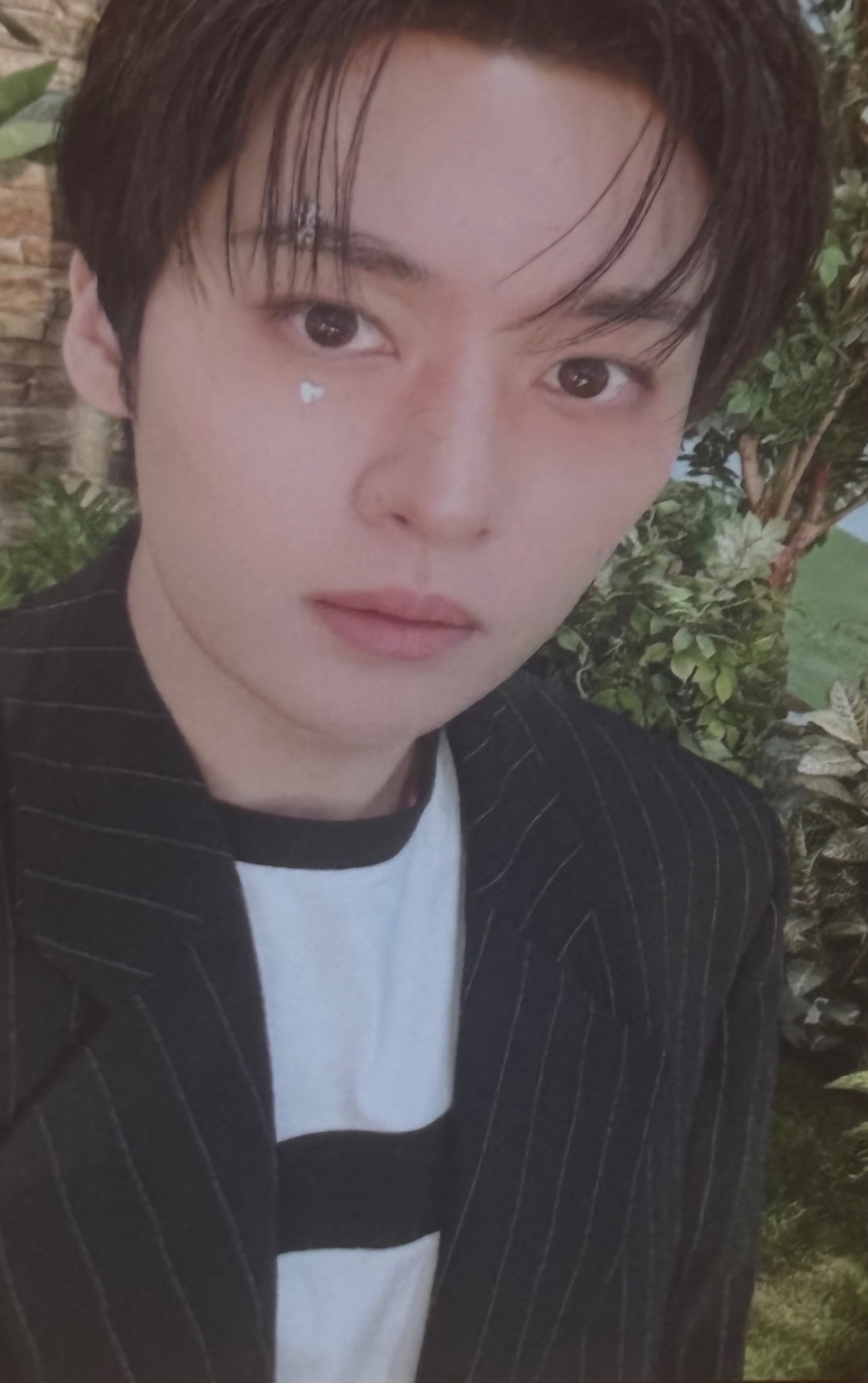 Fans Shop 1.0 Benefit