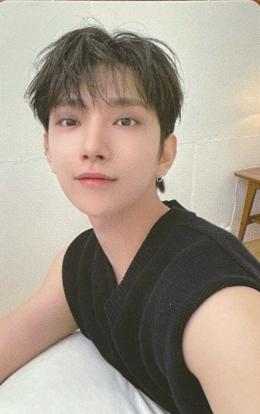 Joshua SEVENTEEN photocard from Photocards