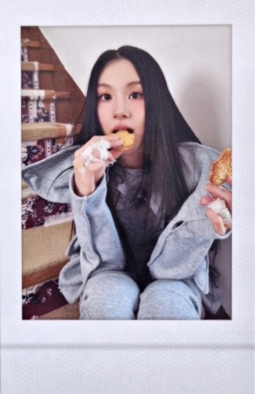 Official MD Tincase Polaroid Set