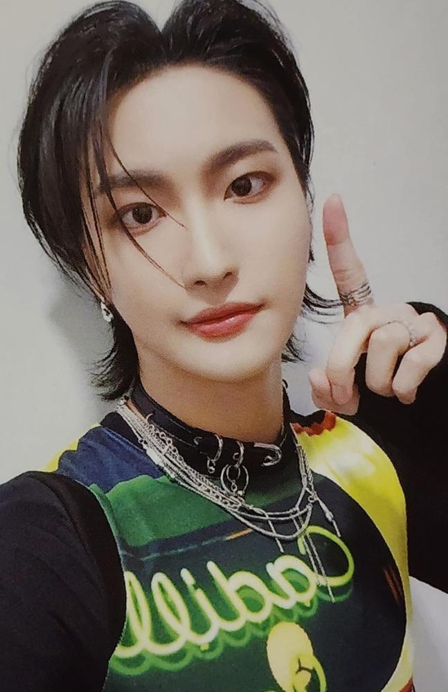 ANITEEZ in ICE CITY Collect Book