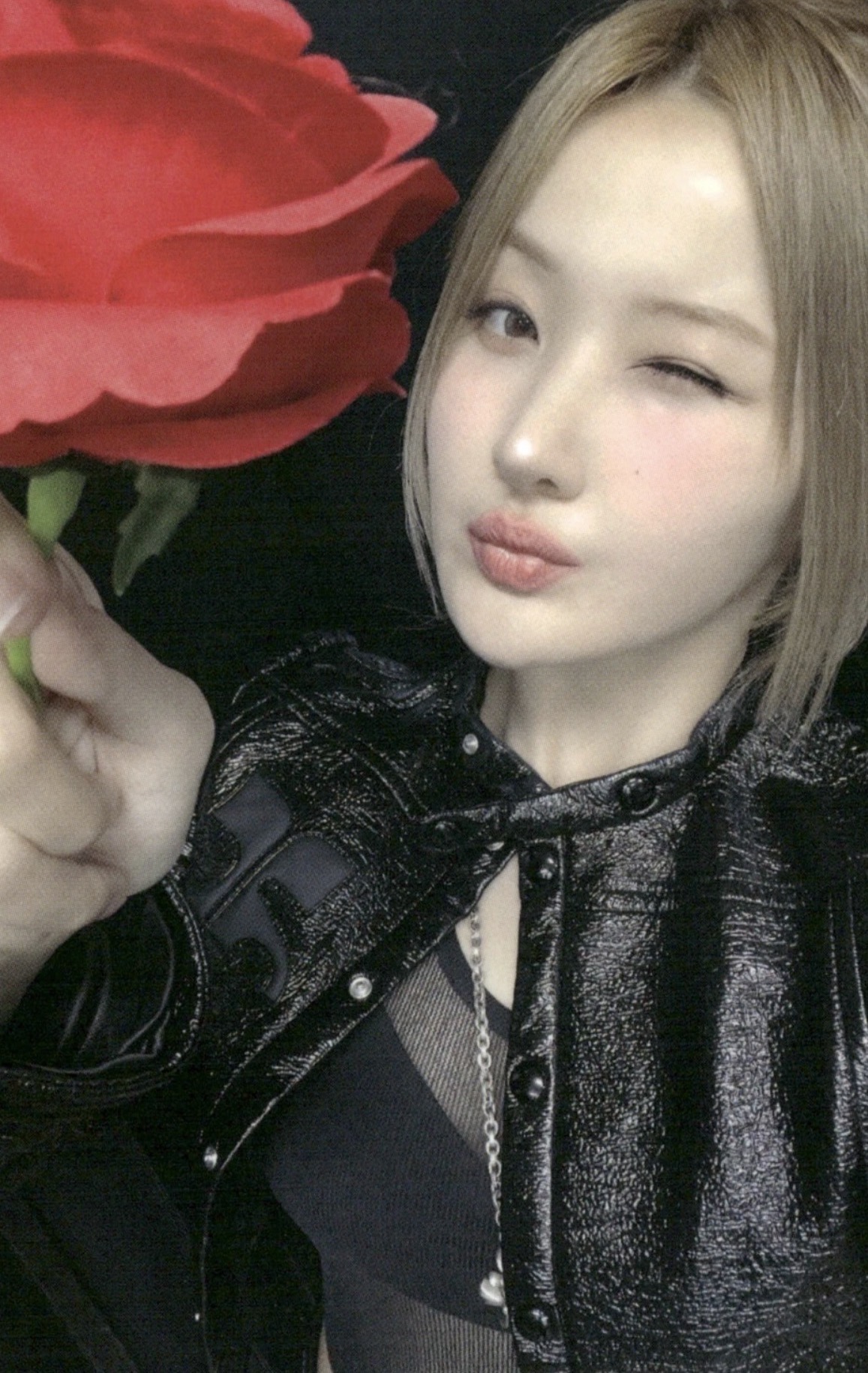 Hello82 1.0 Preorder (Jewel Case ver)