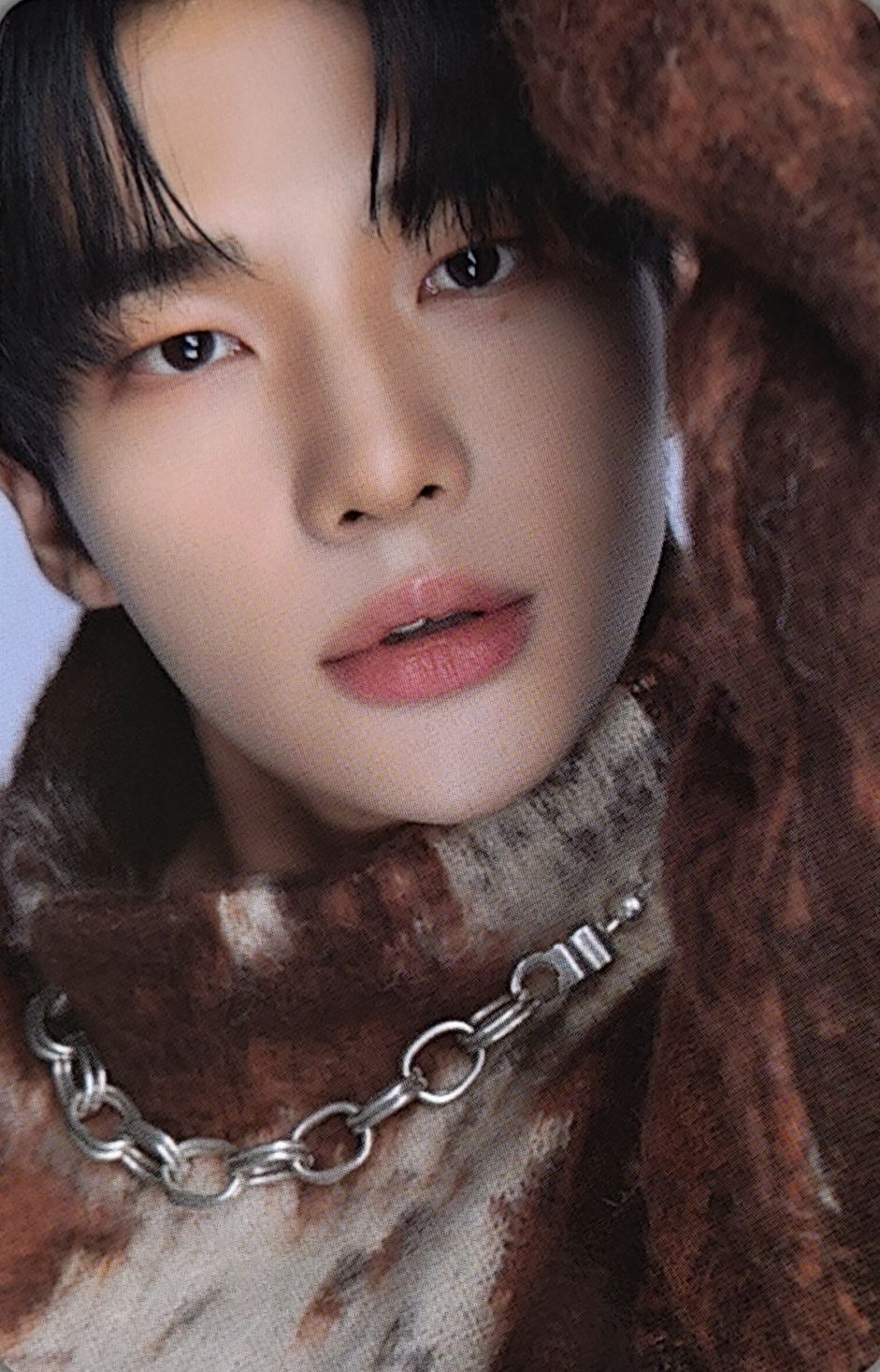 Dicon D'Festa Photocard