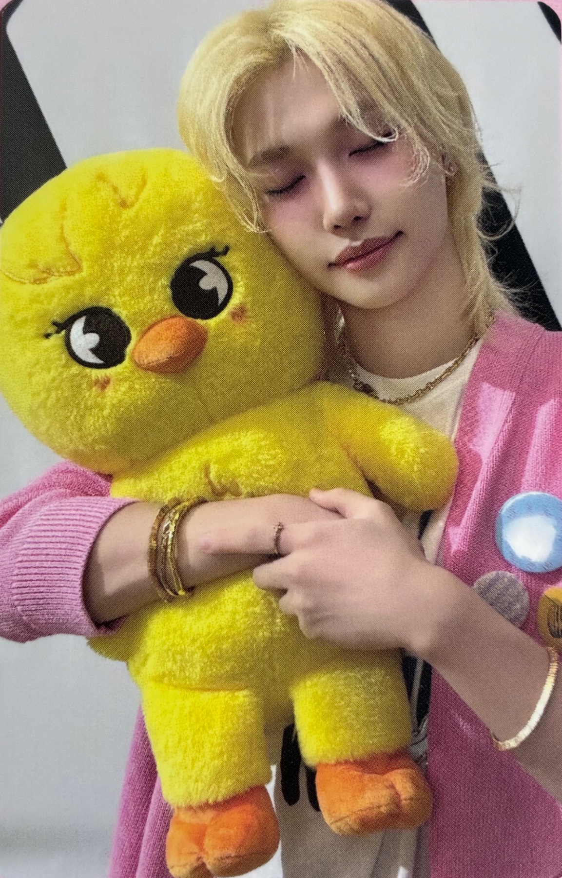 World Tour 'dominATE celebrATE' SKZOO Tincase