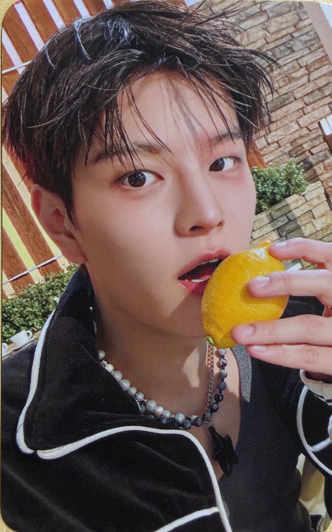 Fans Shop 1.0 Benefit