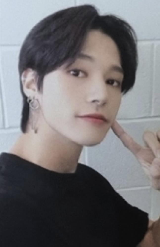 Travel Package Chicago