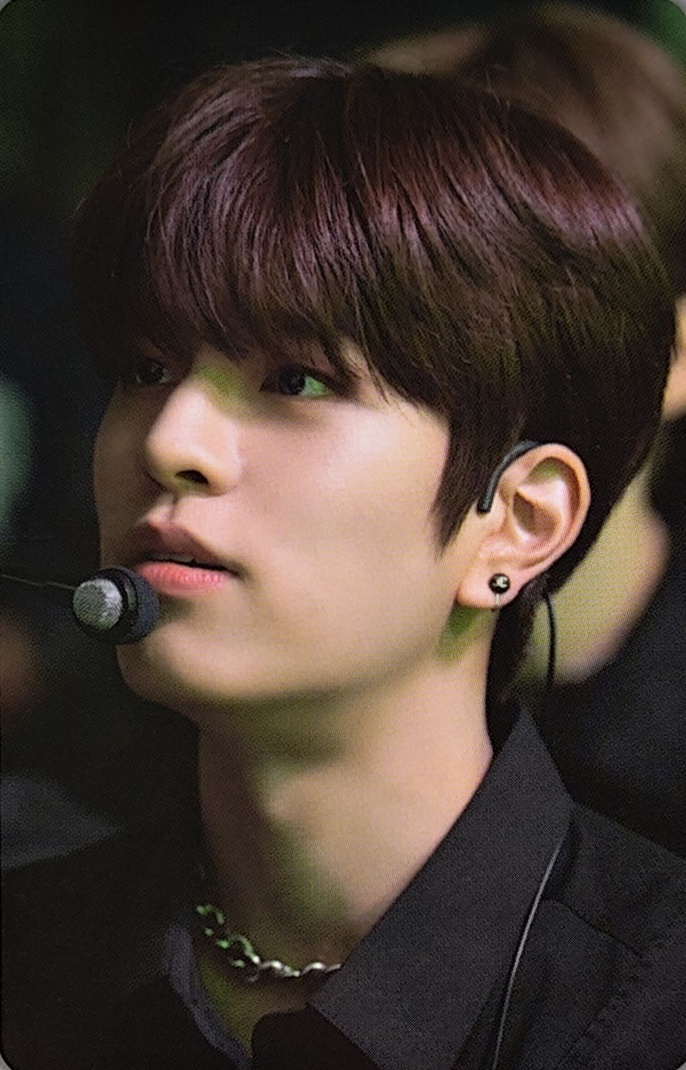 Dicon D'Festa Photocard