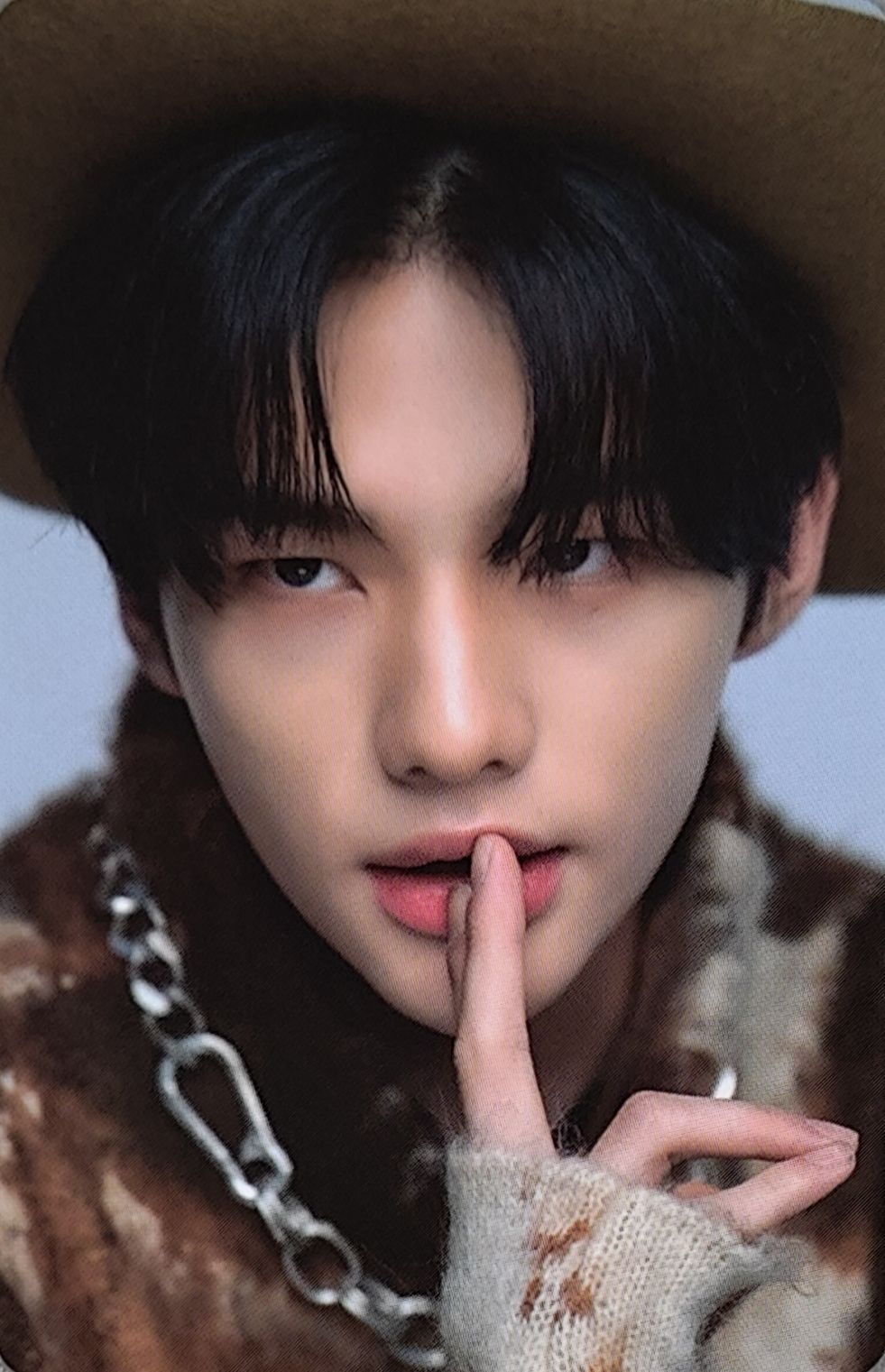 Dicon D'Festa Photocard