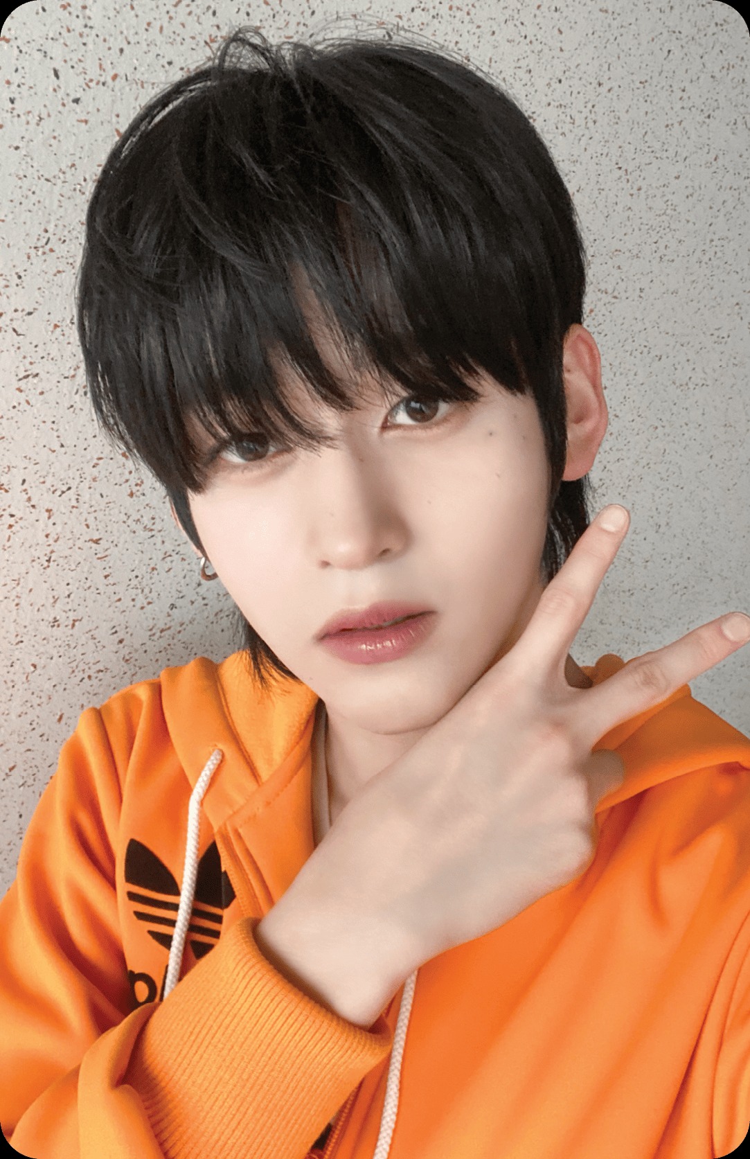 Towa idntt photocard - yesweare Event Objekt
